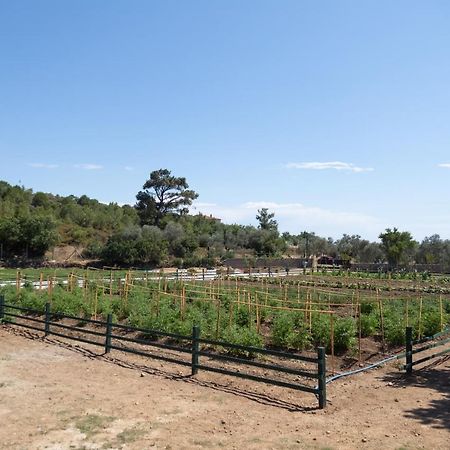 Leone Natural Ayvalik Bagian luar foto