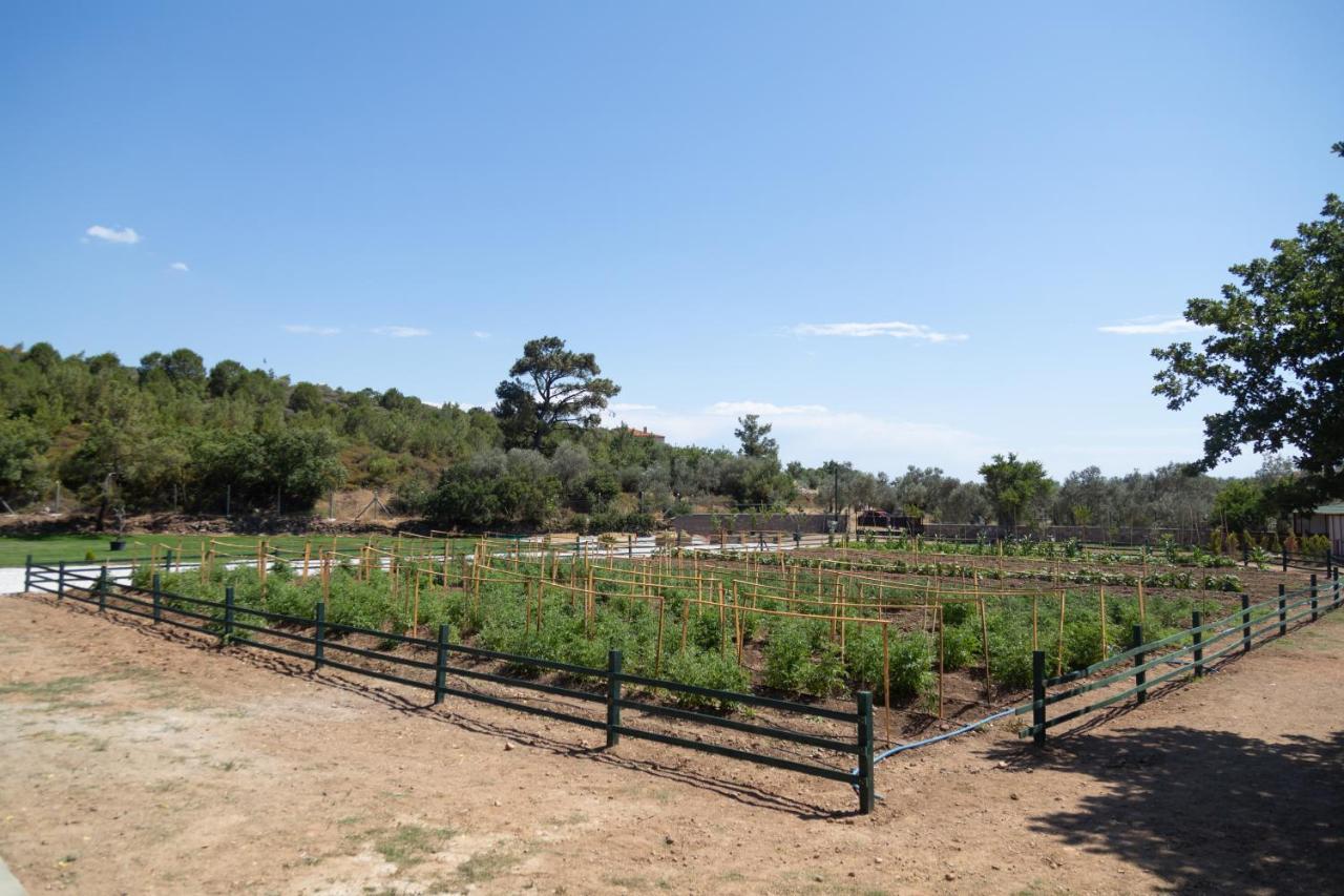 Leone Natural Ayvalik Bagian luar foto