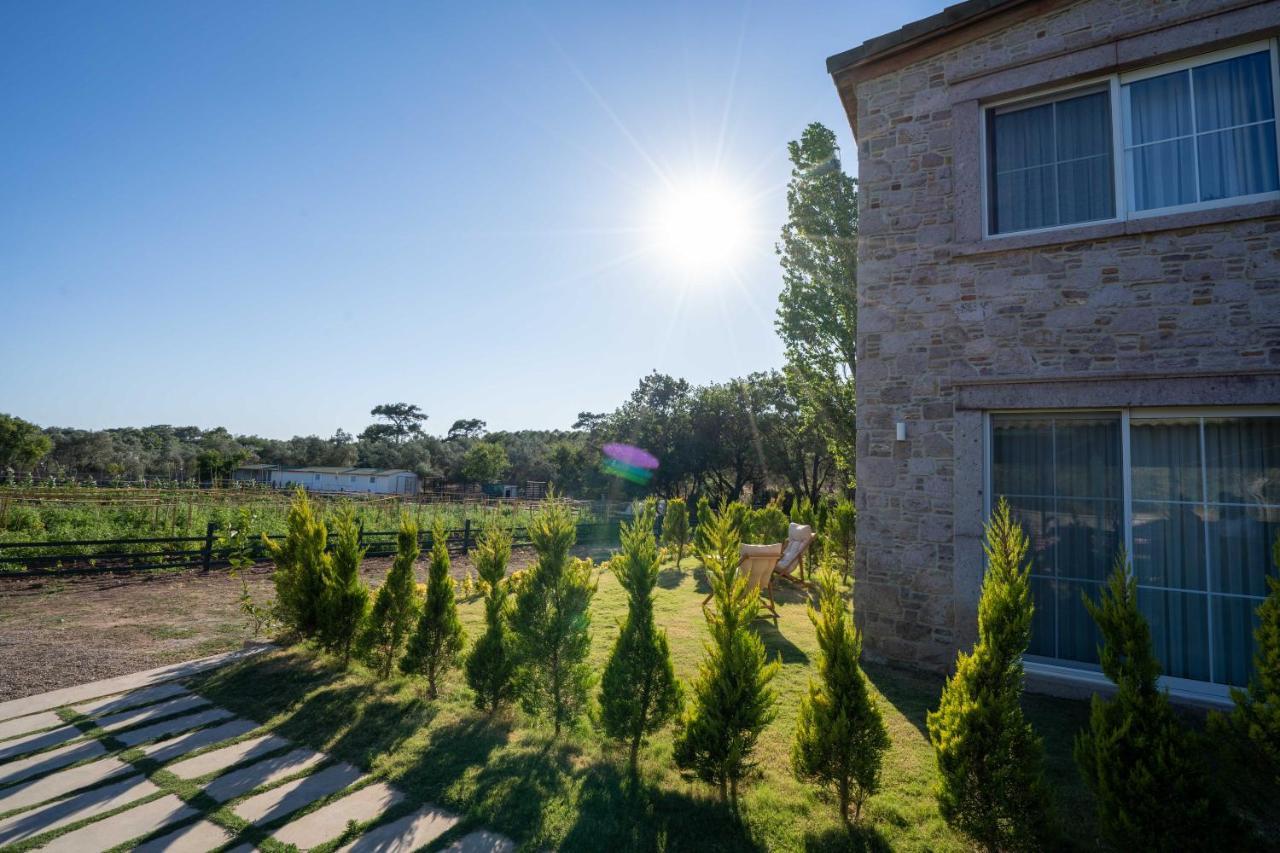 Leone Natural Ayvalik Bagian luar foto